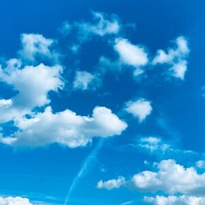 Michael Kors Navy Women's Moccasins